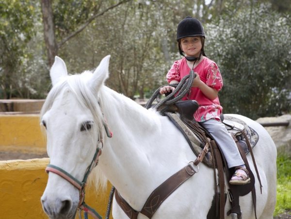 Девочка на лошади
