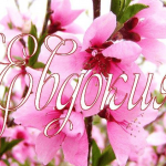 Имя Евдокия на фоне цветов