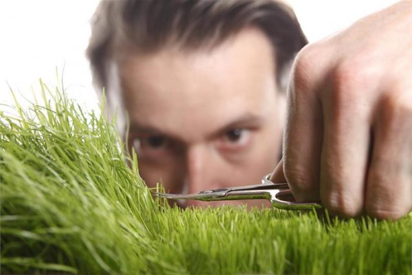 Мужчина подстригает траву